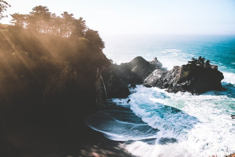 beach sea coast tree water nature 44741