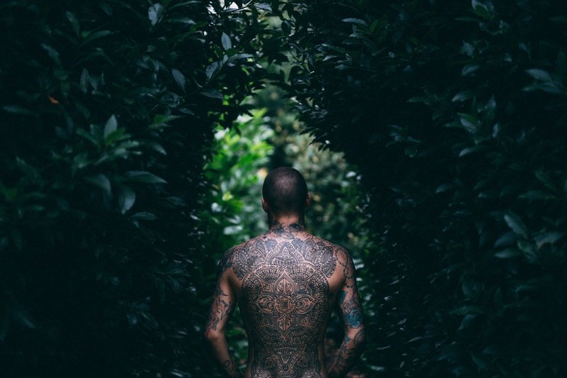man forest male underwater bush jungle 78114
