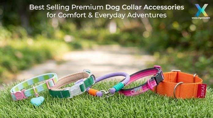 Best Selling Premium Dog Collar Accessories for Comfort & Everyday Adventures